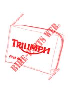 KIT DE PRIMEROS AUXILIOS DIN 13167 para Triumph SPEED TRIPLE R