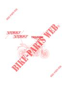 PEGATINAS para Triumph STREET TRIPLE 675 2013 -